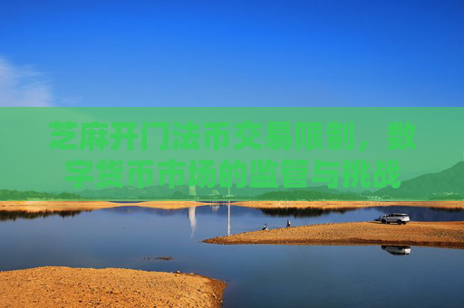 圍繞芝麻開門法幣交易限制探討數字貨幣市場法幣交易相關情況