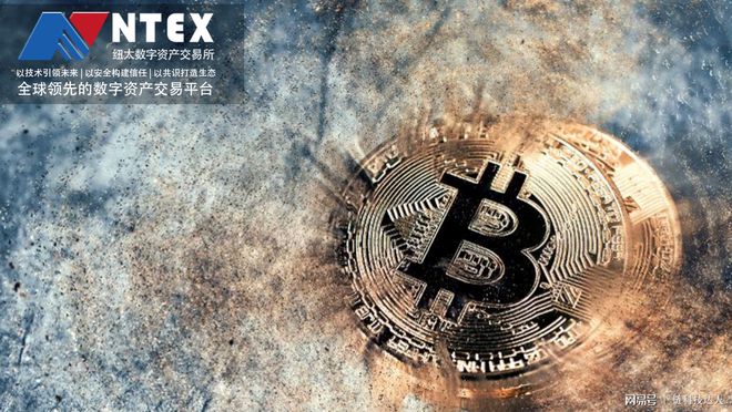 數字貨幣投資游離主流外，監管缺失致大資本難以有效參與